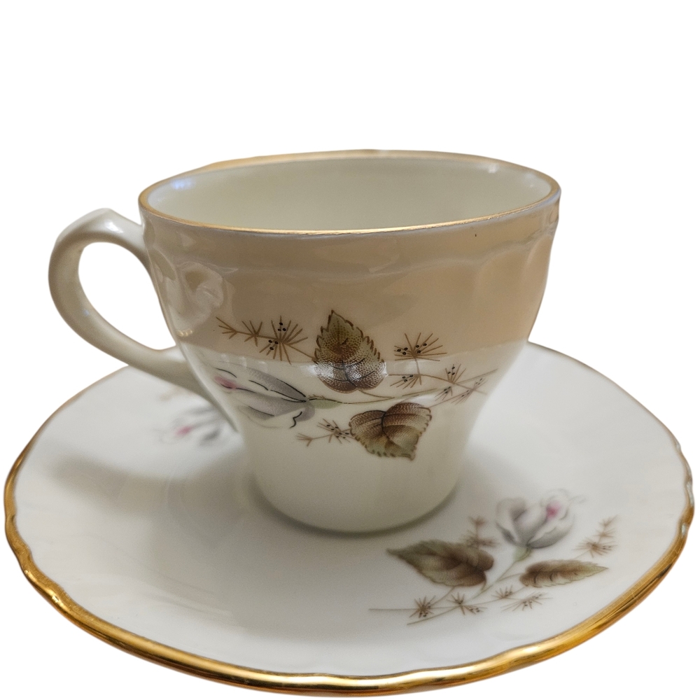 Vintage Richard Ginori Italy Demitasse Espresso Cup Saucer Set 10 Gold Rim Flora